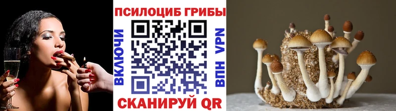 Галлюциногенные грибы GOLDEN TEACHER  Купить где  Карасук 
